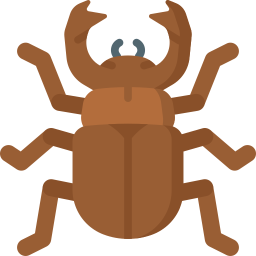 Beetle Special Flat icon
