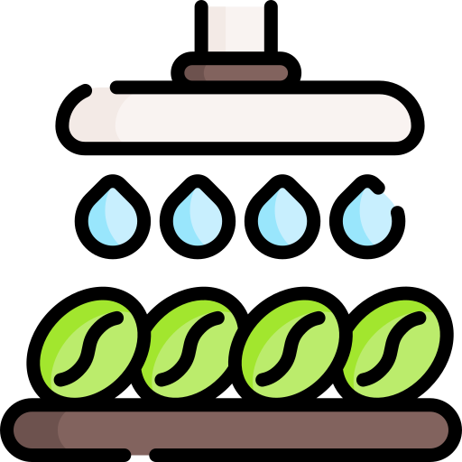 Wash Special Lineal color icon