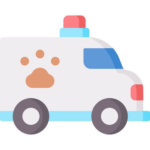 ambulance Special Flat icoon