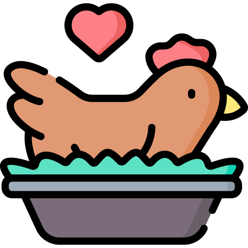 Hen Special Lineal color icon