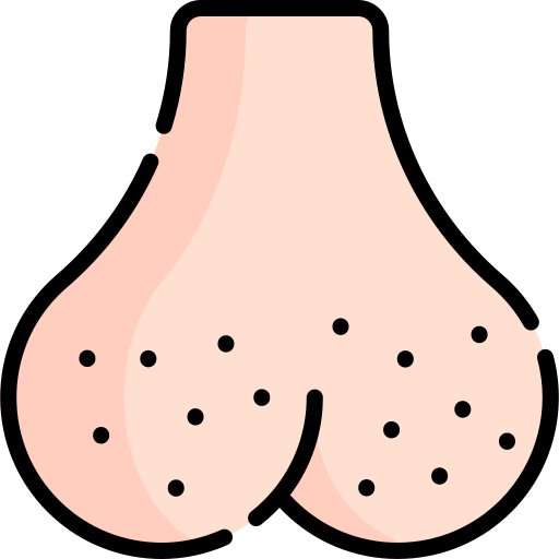 Testicles Special Lineal color icon