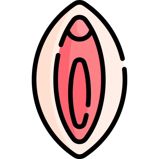 Vulva Special Lineal color icon