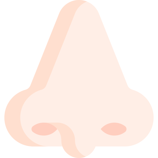鼻 Special Flat icon