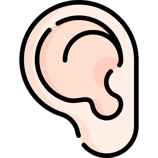 Ear Special Lineal color icon