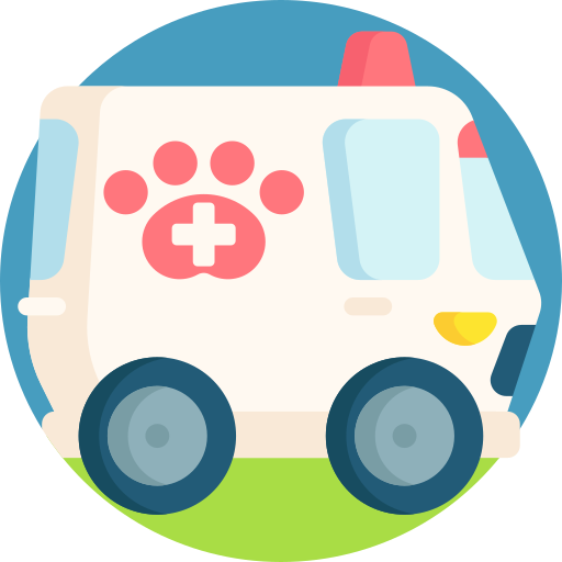 ambulance Detailed Flat Circular Flat icoon