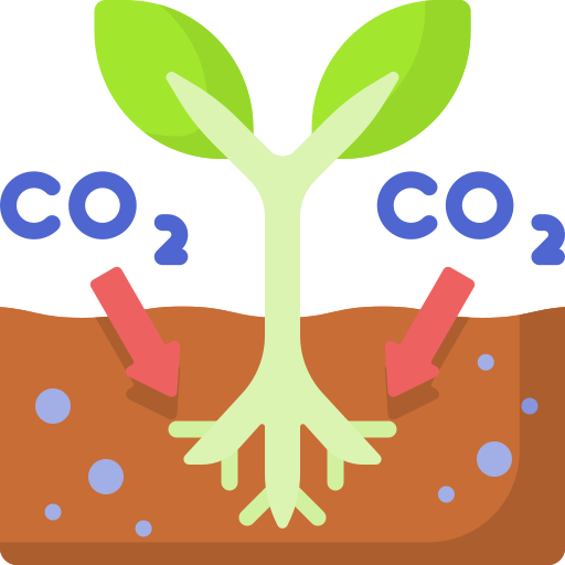 sequestro del carbonio Special Flat icona