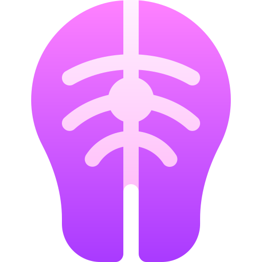 연어 Basic Gradient Gradient icon