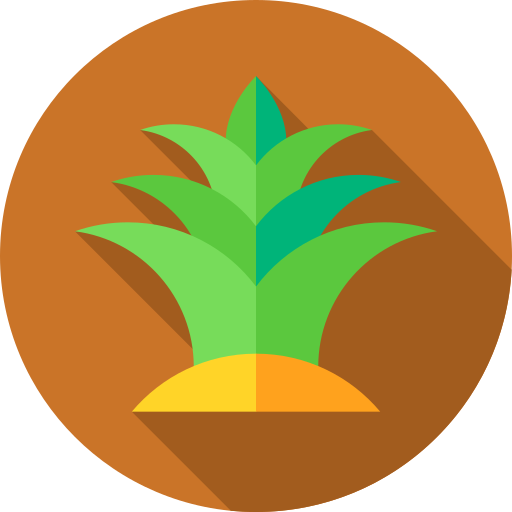planta Flat Circular Flat icono