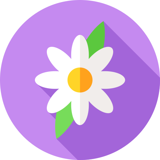 gänseblümchen Flat Circular Flat icon