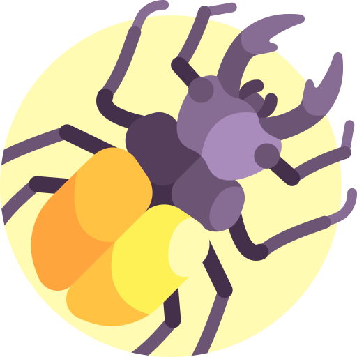 käfer Detailed Flat Circular Flat icon
