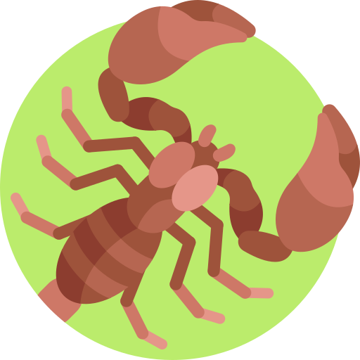 Scorpion Detailed Flat Circular Flat icon