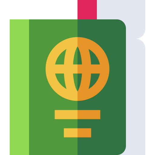 Заграничный пасспорт Basic Straight Flat иконка