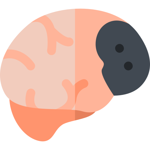 뇌 Basic Rounded Flat icon