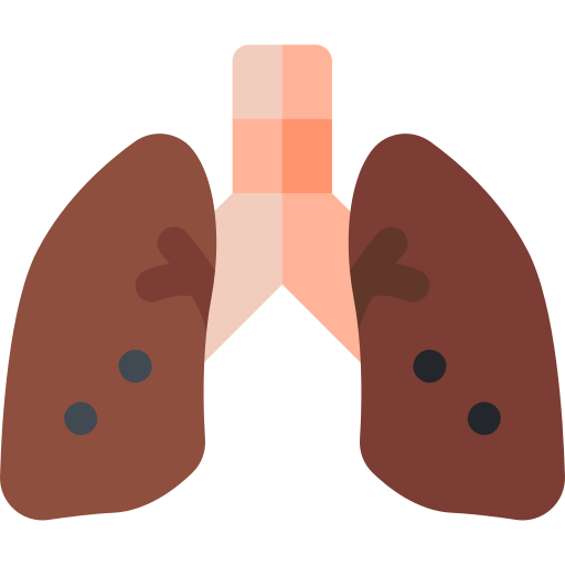 lunge Basic Rounded Flat icon