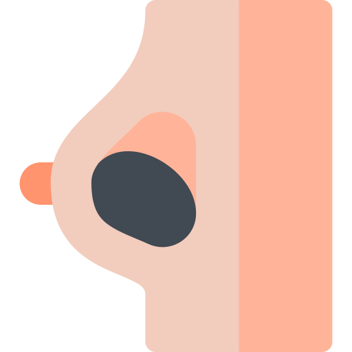 brust Basic Rounded Flat icon
