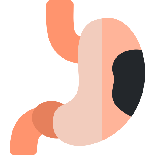 Żołądek Basic Rounded Flat ikona