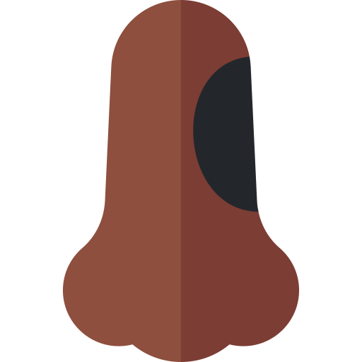 nase Basic Rounded Flat icon