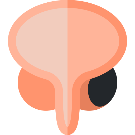 prostata Basic Rounded Flat ikona