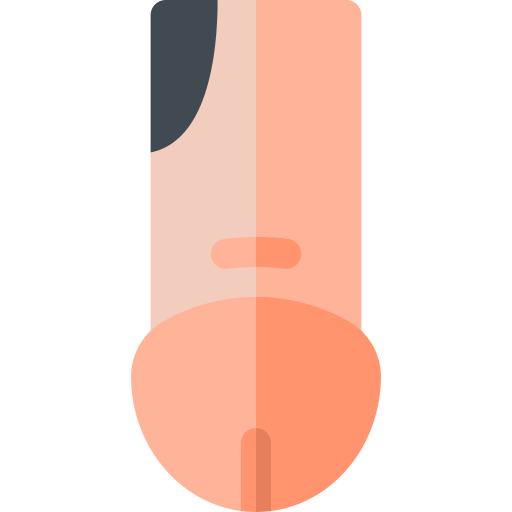 penis Basic Rounded Flat icon