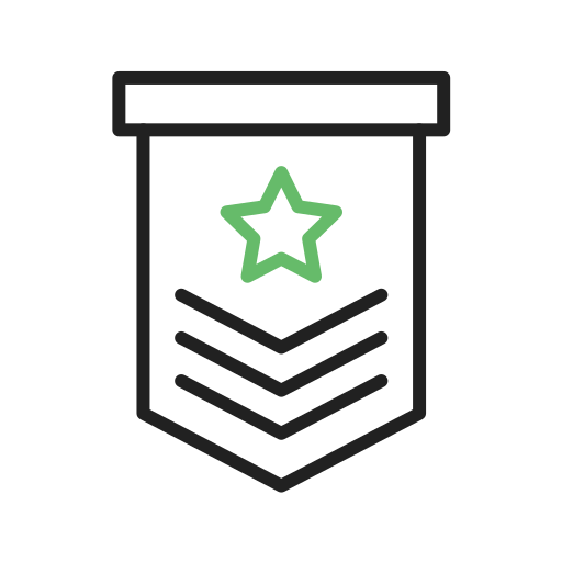wojskowy Generic Outline Color ikona