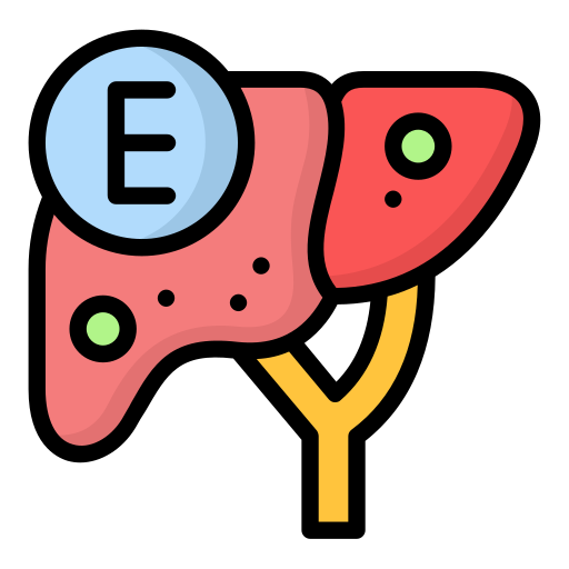 e型肝炎 Generic Outline Color icon