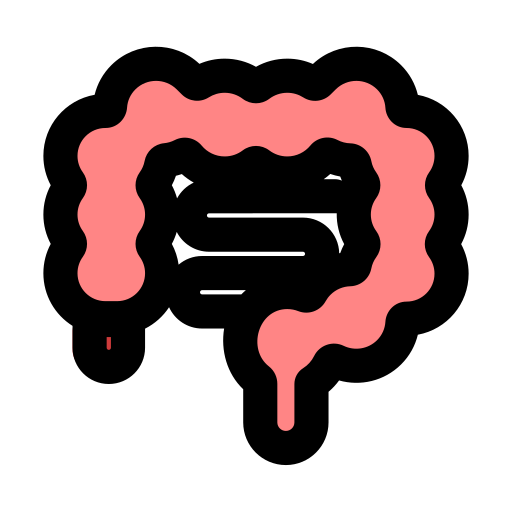 sistema digestivo Generic Outline Color icono