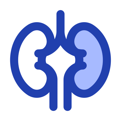 Kidney Generic Blue icon