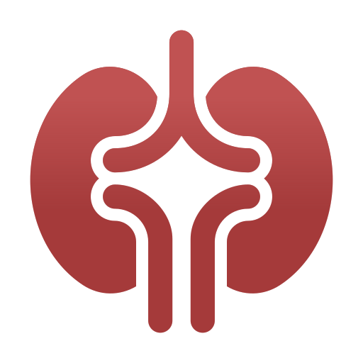 Kidney Generic Flat Gradient icon