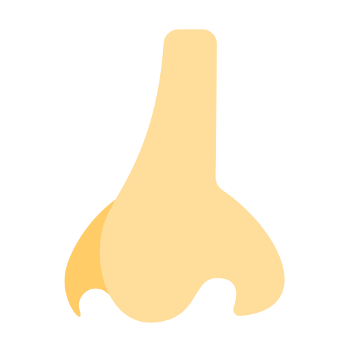 Nose Generic Flat icon