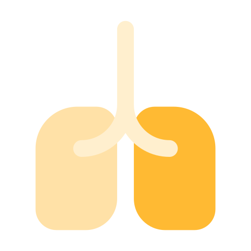 płuco Generic Flat ikona