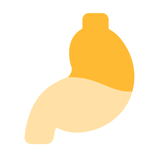 Żołądek Generic Flat ikona
