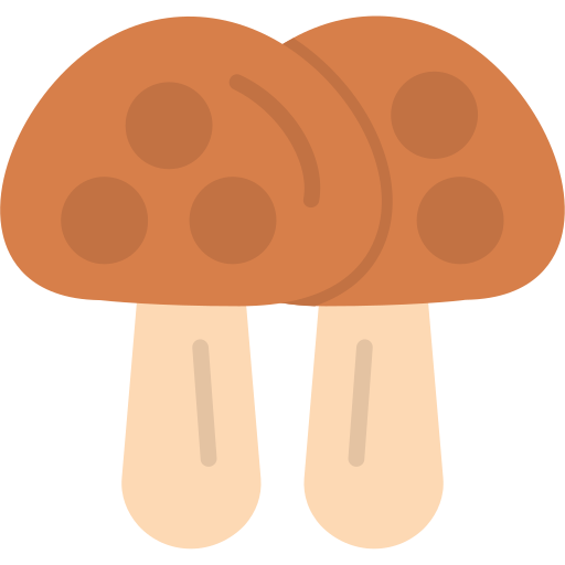 cogumelo Generic Flat Ícone