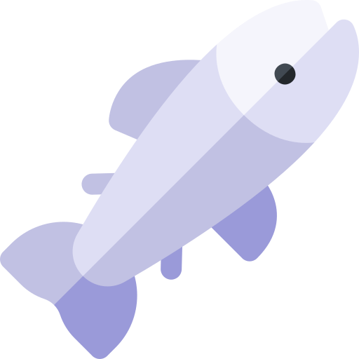 salmón Basic Rounded Flat icono