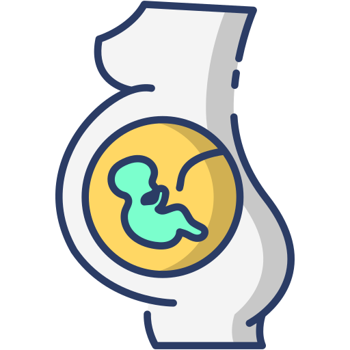 zwangerschap Generic Outline Color icoon