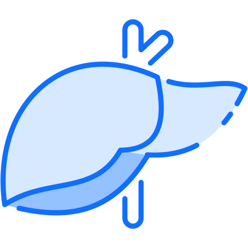 fígado Generic Blue Ícone