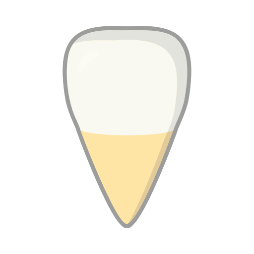 切歯 Generic Outline Color icon