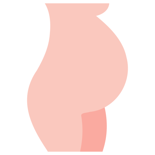 schwangerschaft Generic Flat icon