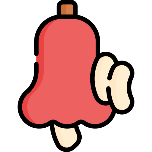 Cashew apple Special Lineal color icon
