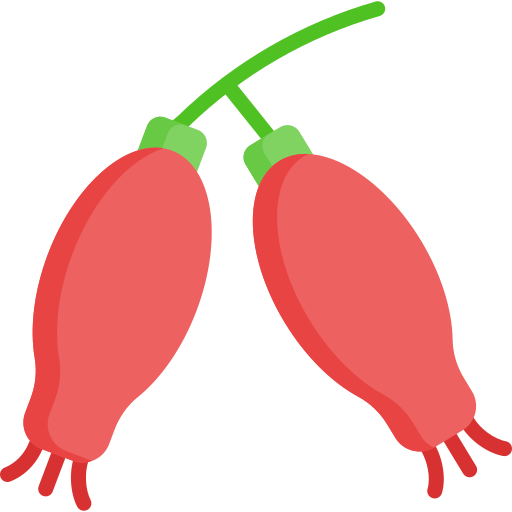 Rosehip Special Flat icon