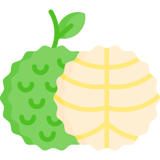 Custard apple Special Flat icon