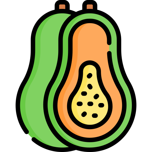 Papaya Special Lineal color icon