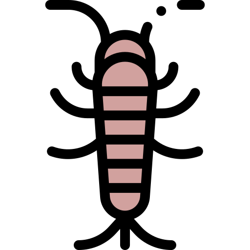 Silverfish Detailed Rounded Lineal color icon