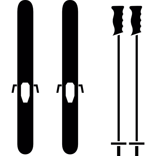 Лыжные палки  иконка