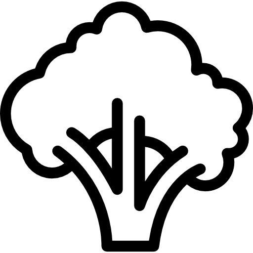 Большая брокколи  иконка