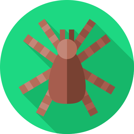 tarantula Flat Circular Flat icoon