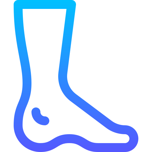 Foot Basic Gradient Lineal color icon