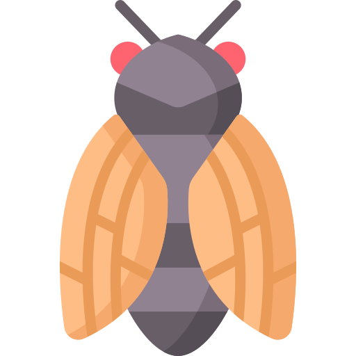 cicala Special Flat icona