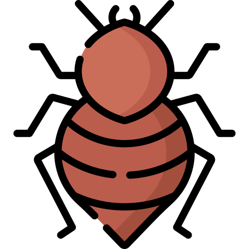 Bed bug Special Lineal color icon