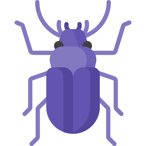 scarabeo macinato Special Flat icona