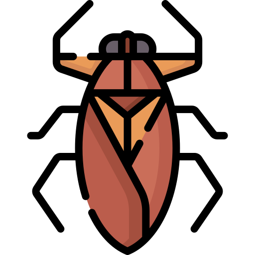 Гигантский водяной жук Special Lineal color иконка